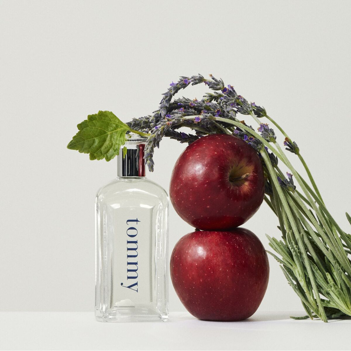 Pánský parfém Tommy Hilfiger Tommy EDT 30 ml